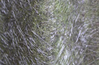 Arlington Beccott fibreglass roof work